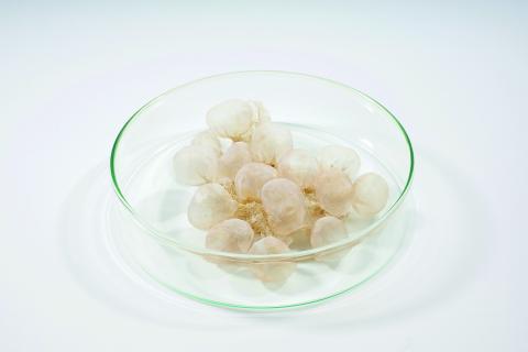 Photo: Hans Martin Aambø