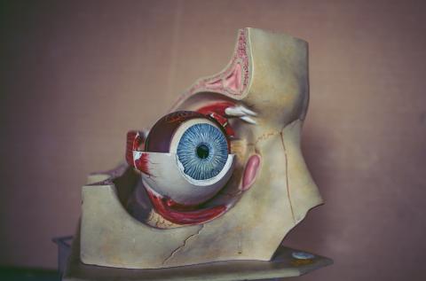 Foto: Jan Elhøj og Morten Kirckhoff. 