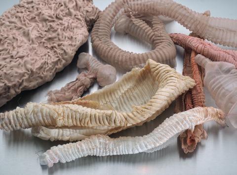 Photo: Hans Martin Aambø