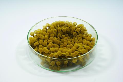 Photo: Hans Martin Aambø