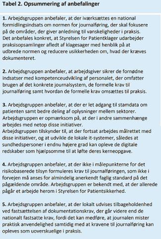 Arbejdsgruppens overordnede anbefalinger.