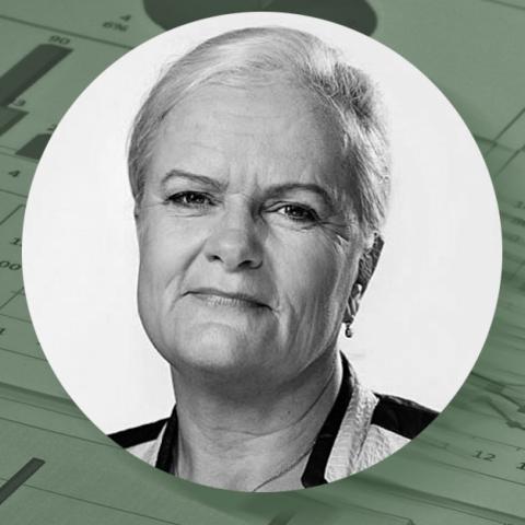 Liselott Blixt, Dansk Folkeparti