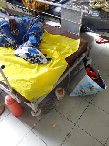 Katte under sengene holder rotterne væk. Foto: Tarek Meguid.