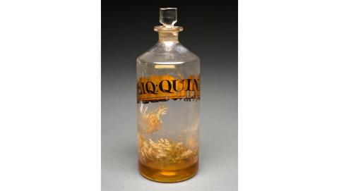 Kinin blev udvundet af tørret bark fra det peruvianske Cinchoa-træ. Det blev afgørende for kampen mod malaria – og kinabarken blev en strategisk råvare for stormagterne, som derved kunne behandle tropper og embedsmænd i de tropiske kolonier. Fotro: Wellcome Images.