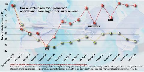 Kilde: Sjukhusläkaren