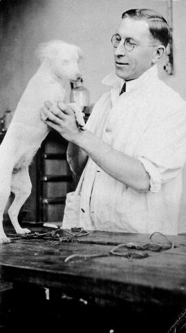 Den canadiske læge Fred Banting, hvis ved­holdende forskningsindsats førte til udvikling af de første virksomme insulinpræparater. På fotografiet ses han med en af de mange forsøgs­hunde, som lagde krop til de epoke­­gørende eksperimenter i begyndelsen af 1920’erne.Foto: Wellcome Collection