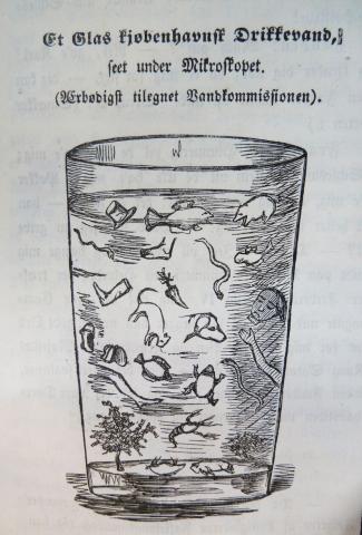 »Et Glas kjøbenhavnsk Drikkevand seet under Mikroskopet«. I dag ved vi, at kolera skyldes den vandbårne bakterie Vibrio cholerae, og at sammenblanding af spildevand og drikkevand er en væsentlig årsag til smitteudbrud (samtidig satiretegning).
