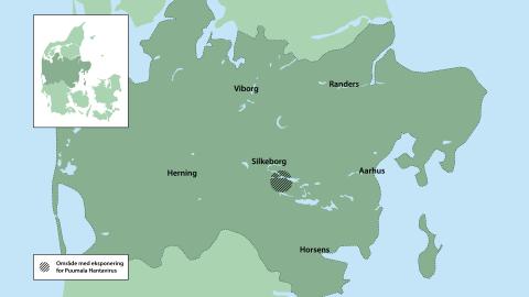 Det geografiske område, hvor fire patienter formodes smittet med Puumala-hantavirus.