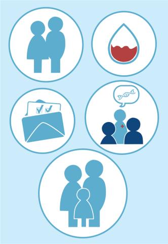 Genetisk screening kan afdække forældres risiko for at få et barn med alvorlig genetisk sygdom.